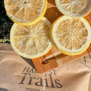 Freeze Dried Lemons