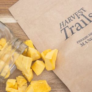 Freeze Dried Mango