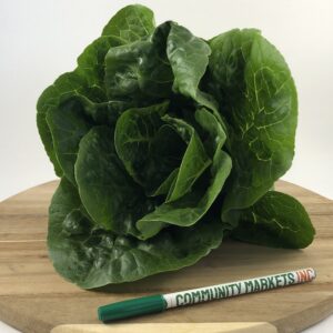 Romaine Lettuce
