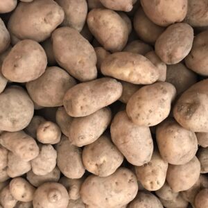 Kennebec Potatoes