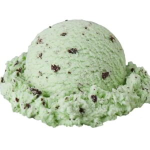 Mint Chip Ice Cream