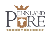 Pennland Pure logo