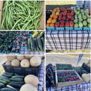 Cooper Farm CSA - Summer