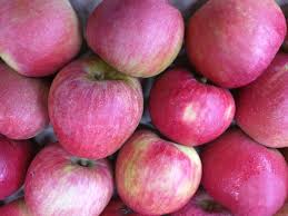 Smith's Orchard Stayman Apples