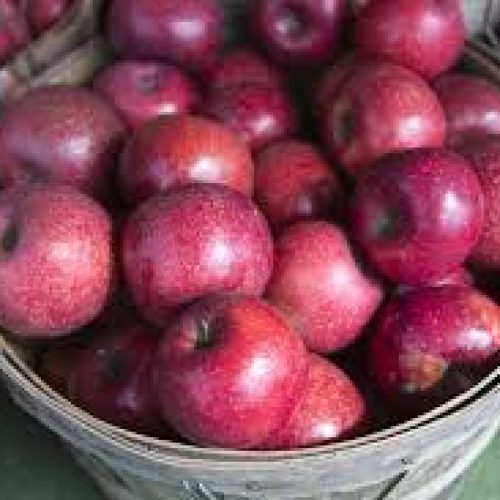 smith orchard rome apples 3